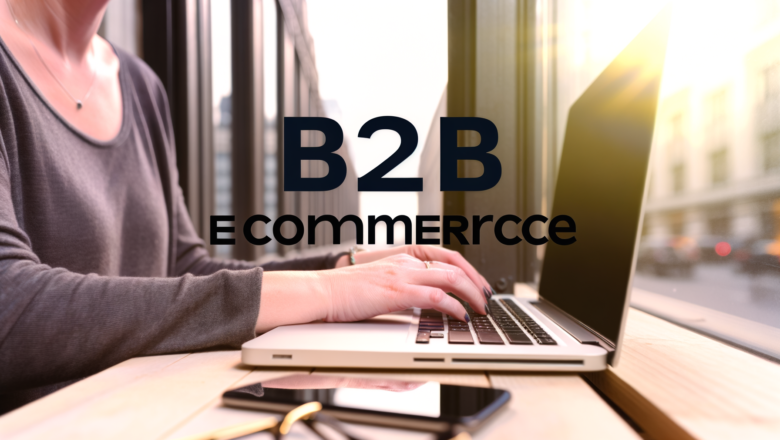 Plataformas de Ecommerce B2B: Todo lo que Necesitas Saber